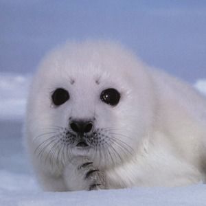 Meet your Posher, Jaylyn